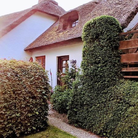 Ferienhaus Ebbe Und Flut, Terrassen-Whg นีบลูม ภายนอก รูปภาพ